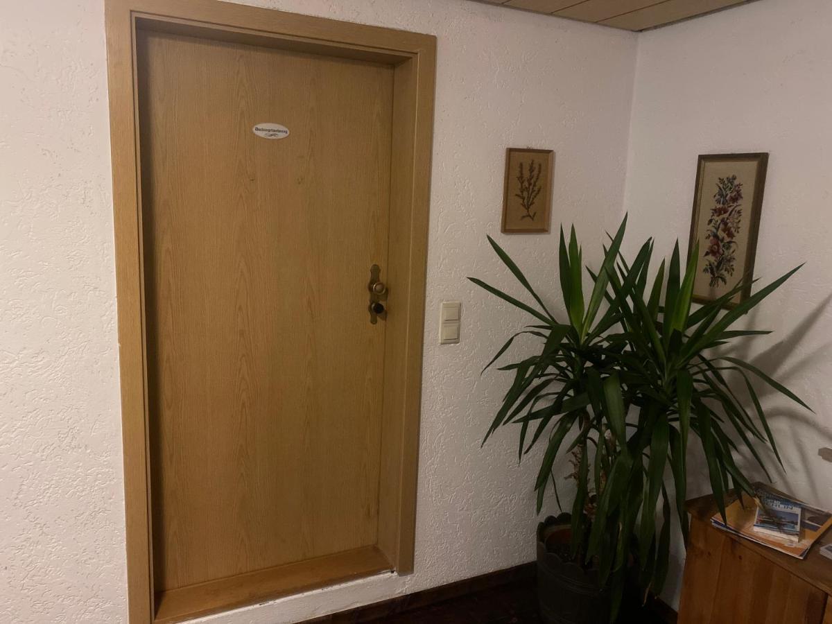 Ferienwohnung Eva Und Alexander Hirschbach  Εξωτερικό φωτογραφία