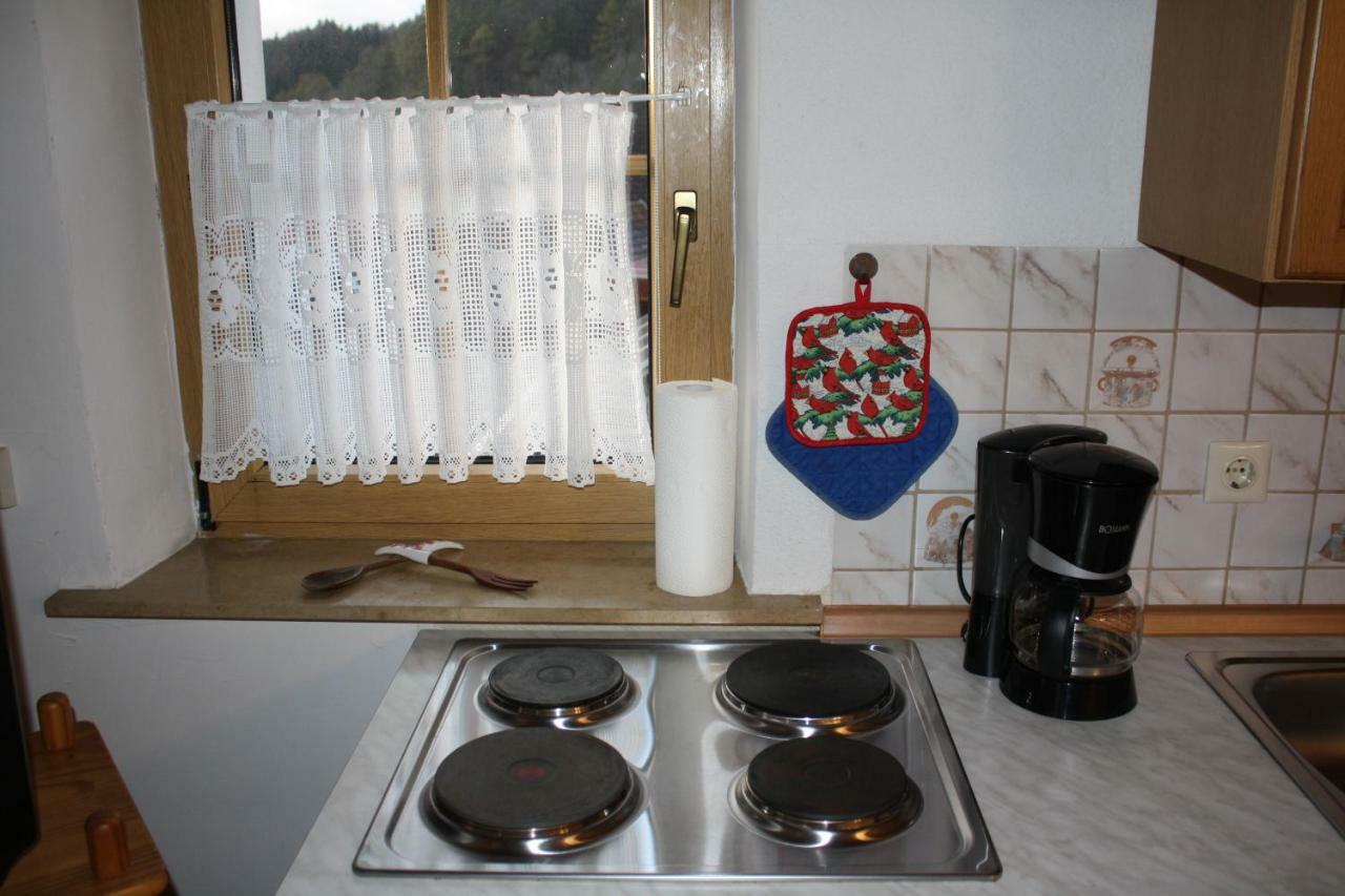 Ferienwohnung Eva Und Alexander Hirschbach  Εξωτερικό φωτογραφία